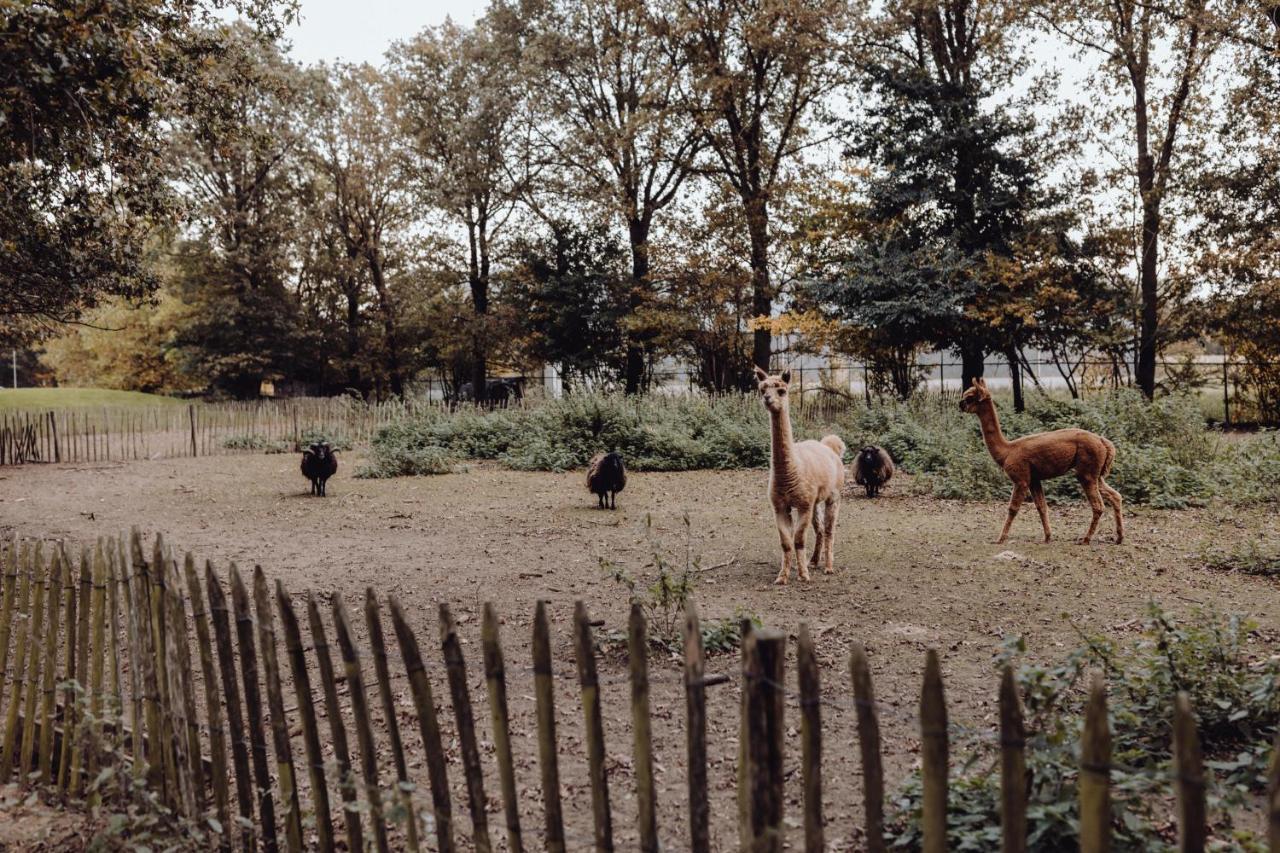 브로크후이젠 Het Hilkensberg Park 빌라 외부 사진