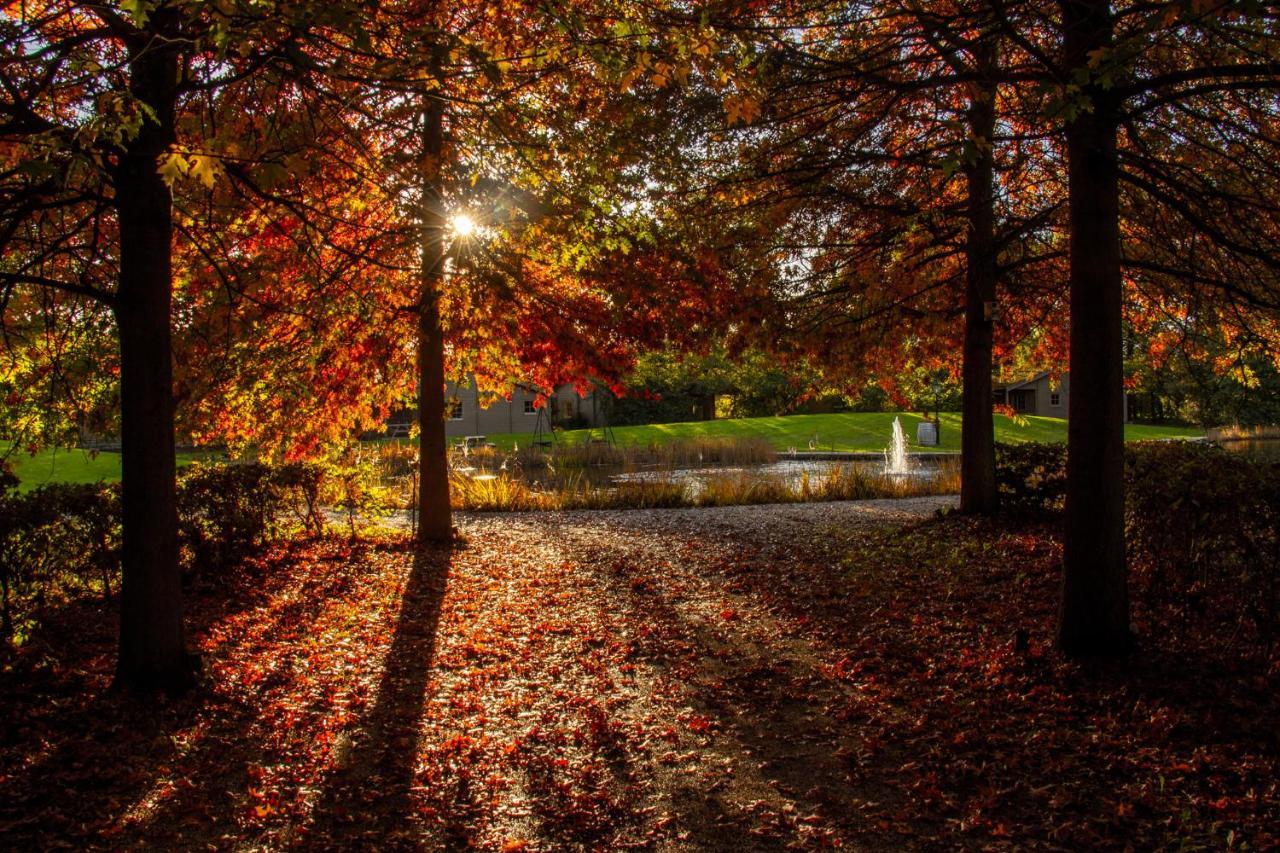 브로크후이젠 Het Hilkensberg Park 빌라 외부 사진